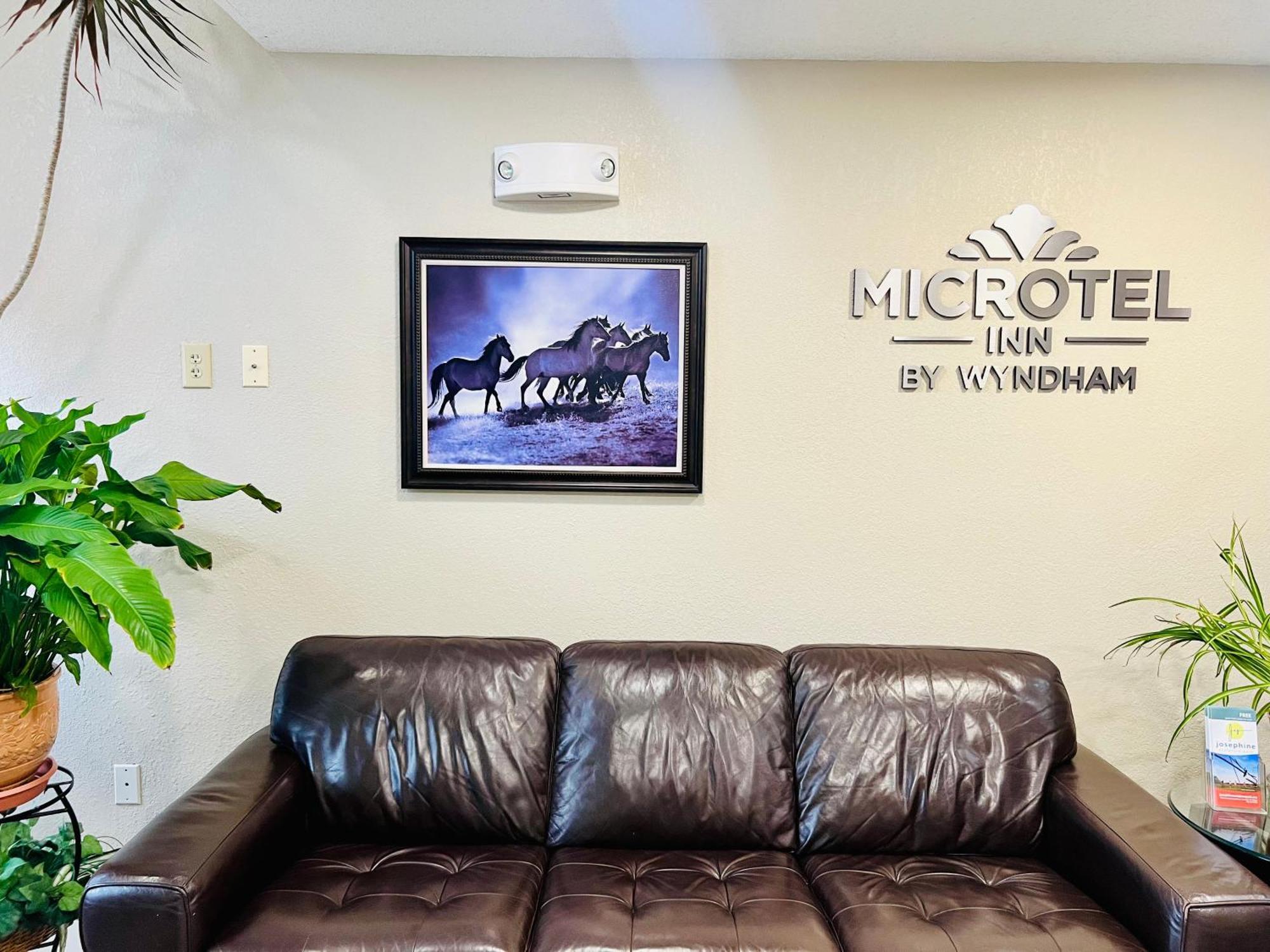 Microtel Inn Georgetown - Lexington North מראה חיצוני תמונה